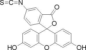 异硫氰酸荧光素/27072-45-3