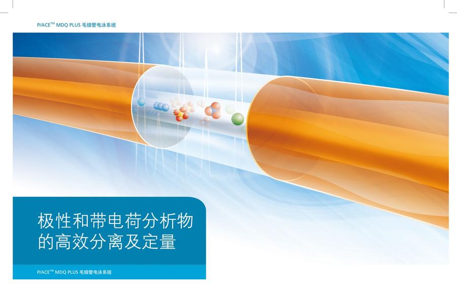 美国Sciex 毛细管电泳系统 P/ACE MDQ plus(图2)