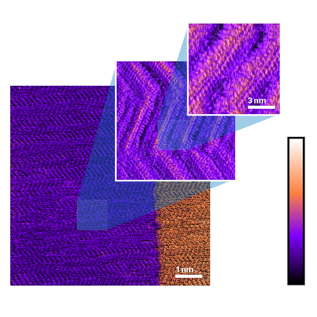 AFM-nDMA 存储模组
