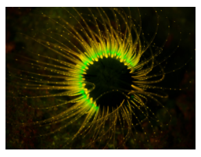 20190123-704834524.png