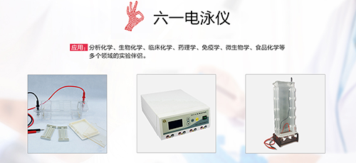 六一电泳仪.png