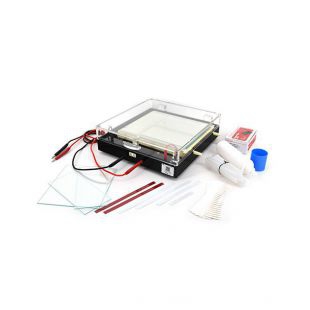 六一等电聚焦电泳仪DYCP-37B型