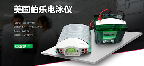 伯乐电泳仪.png