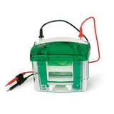 Mini-PROTEAN® Tetra Cell - 1658000