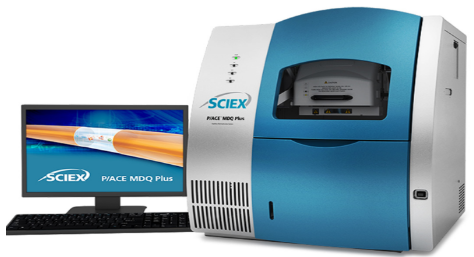 美国Sciex 毛细管电泳系统 P/ACE MDQ plus(图1)