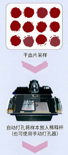毛细管电泳仪 CAPILLARYS 2 (图2)