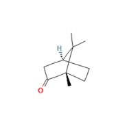 (1S)-(-)-樟脑