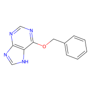 6-苄氧基嘌呤,25g