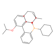 2-双环己基膦-2 ',6'-二异丙氧基联苯,10g