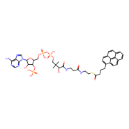 1-芘丁酰基-辅酶 A,5mg