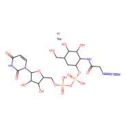 UDP-GalNAz.2Na