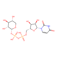 UDP-xylose