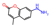 Coumarin hydrazine