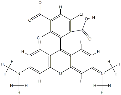 1，4dichloro6-Carboxytetramethylrhodamine