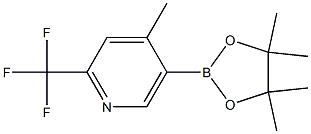 2-(trifluoromethyl)-4-methyl-5-(4，4，5，5-tetramethyl-1，3，2-dioxaborolan-2-yl)pyridine