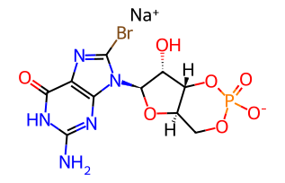 8-Bromo-cGMP sodium,100mg