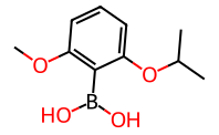 2-异丙氧基-6-甲氧基苯基硼酸,10g