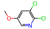 2,3-二氯-5-甲氧基吡啶,1g