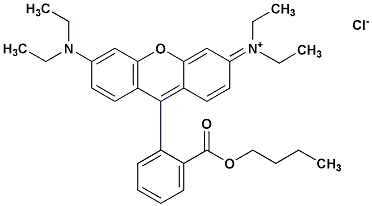 Butyl rhodamine B