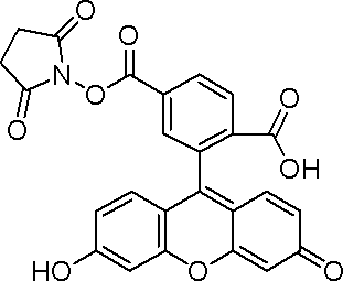 6-FAM SE,100mg