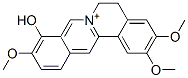 Palmatrubine