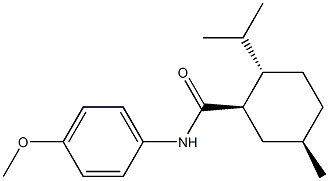 WS 12