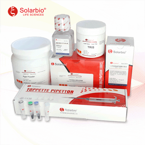 抗體純化磁珠 Protein A Matrix Antibody Purification Kit 1mL