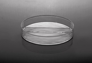 90mm细菌培养皿 透明，PS，两分格，灭菌 20个/袋，25包/箱