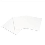 Extra Thick Blot Filter Paper, Precut, 14 x 16 cm