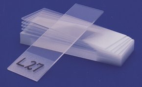 载玻片 1 PKG
