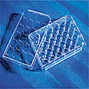 24孔培养板 Osteo骨细胞培养表面 1个/包,4包/箱