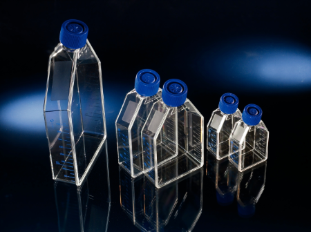 EasYFlasks™ 培养瓶 Poly-D-Lysine(多聚D赖氨酸)预包被25cm2 60个/箱