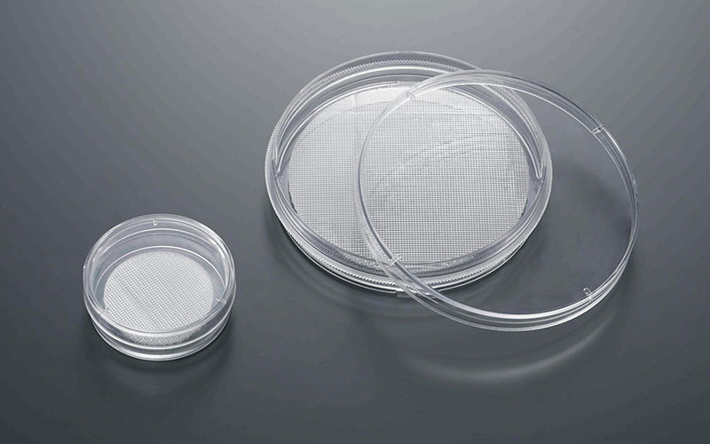 35mm3D细胞培养皿 3D支架直径32mm  培养面积43cm2 表面已处理，已灭菌 1只/盒，40盒/箱