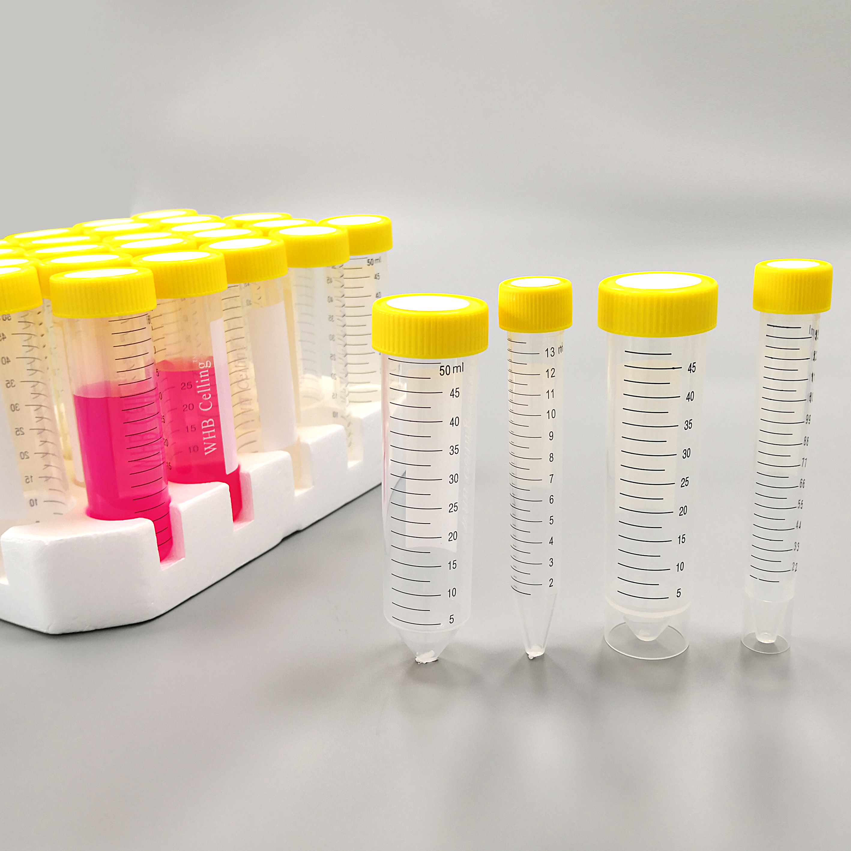 15ml锥形离心管 泡沫架装，灭菌50个/包,800个/箱