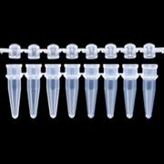 0.2mlPCR8排管盖 透明 凸盖 125排/包，10包/箱