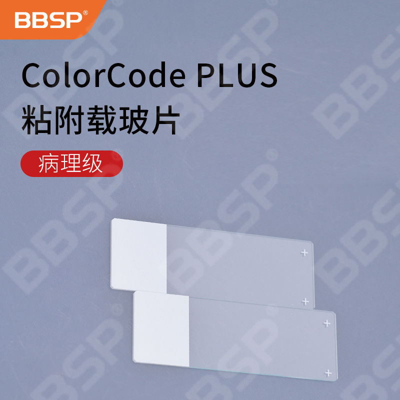 Colour code PLUS粘附载玻片，病理级 50片/盒，20盒/组，2组/箱