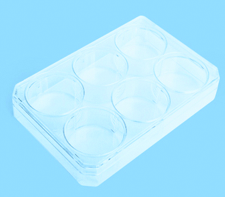 Nunclon™ Vita 6-Well Multidish 9.6cm2,3mL Case of 4