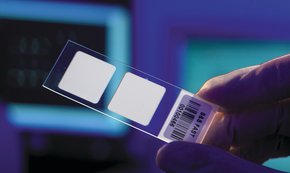 FAST slides for protein microarrays 20 EA