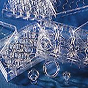 12孔板 Transwell聚酯膜嵌套 直径12mm 孔径0.4um 12个/包,4包/箱