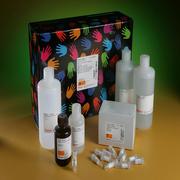 Pierce Spin Cups - Paper Filter   50 UNITS