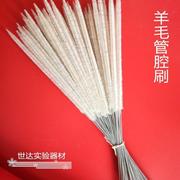 羊毛管腔刷