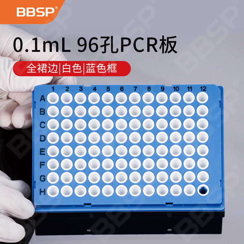 0.1ml 96孔PCR板-全裙边，白色，蓝色框 10块/盒，5盒/箱