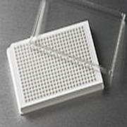 384孔板 白色 低边 TC表面 10个/包,5包/箱