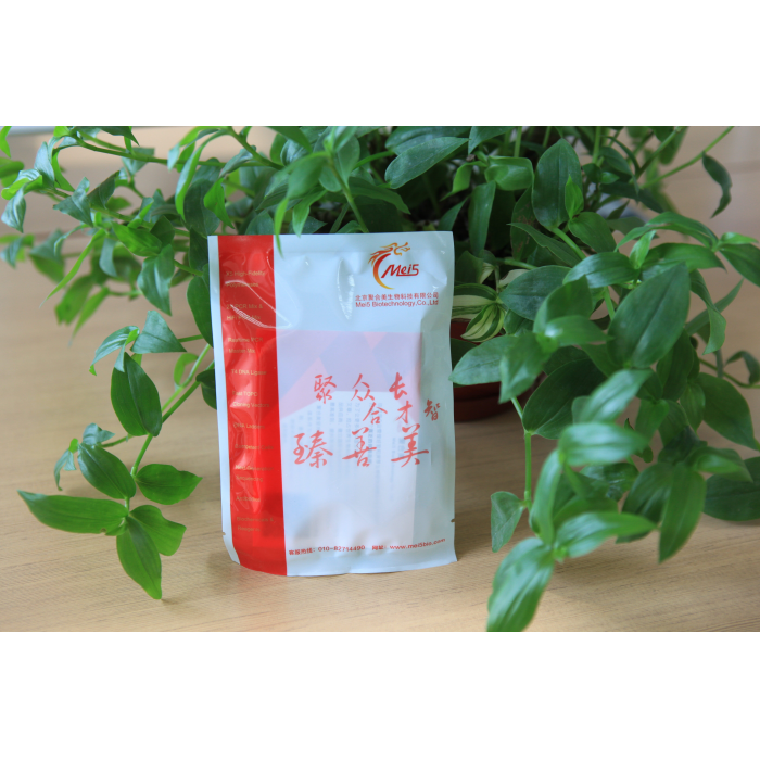 M5 HiClear 无粉丁腈手套，小号S，蓝色 100只/盒，10盒/箱