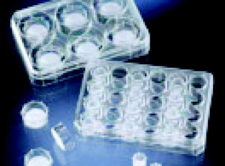 插入式细胞培养器 聚碳酸酯膜，8 micron，12-Well Plate，1.13cm2 48个/箱