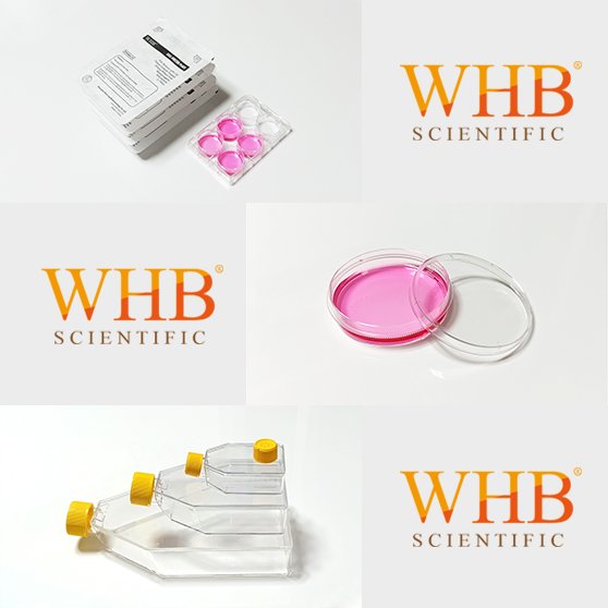 25cm²培养瓶,明胶包被，50ml,滤膜盖 10个/包,50个/盒
