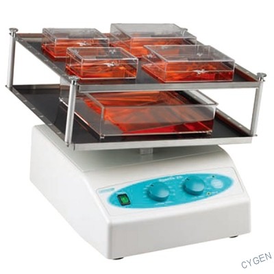 ProBlot™ Rocker25XL 摇床(单层托盘30×30cm)