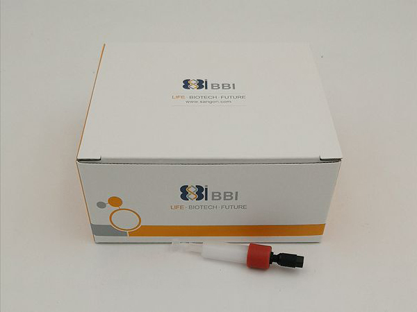 Q 预装色谱柱 1X5ML