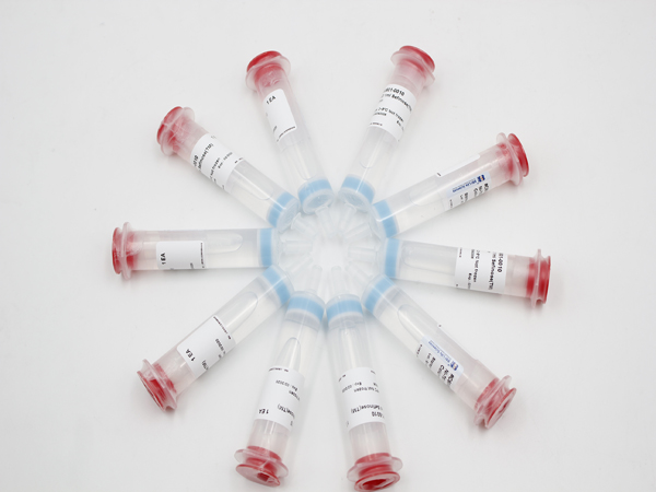 Ni-TED 1ml 预装重力柱 10/PK