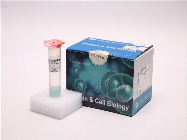 Ni-NTA 预装重力柱，5ml 1/PK